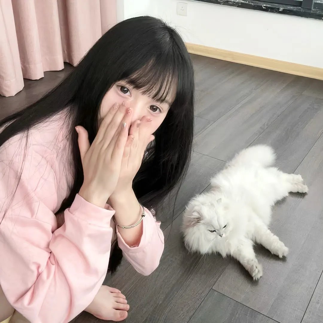 黄飞鸿 在线观看